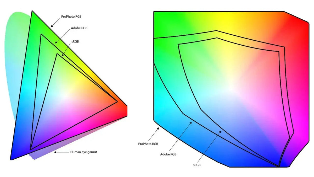 Defining Accurate Colors on a Photographer's Monitor - Arzopa
