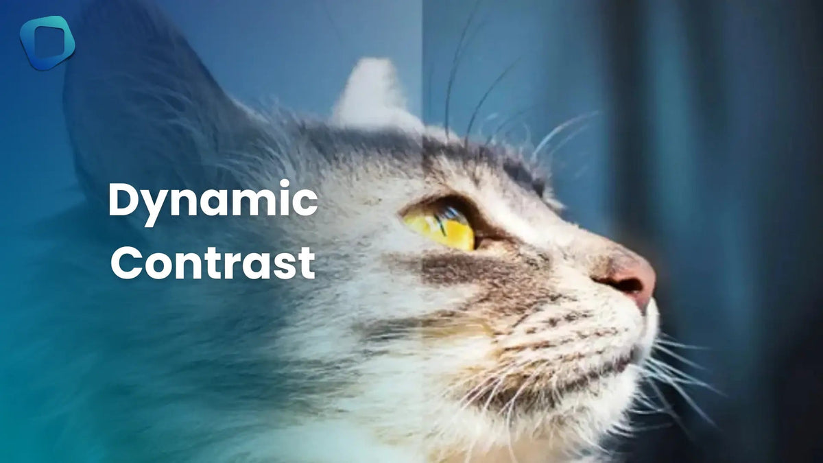 Dynamic Contrast Explained: How It Boosts Your Screen Quality - Arzopa