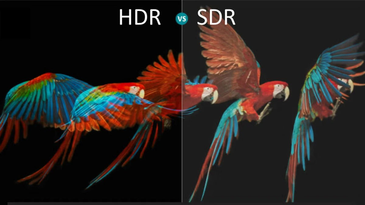 HDR Is Not Working? Fixed! - 2024 Complete HDR Troubleshooting Guide - Arzopa