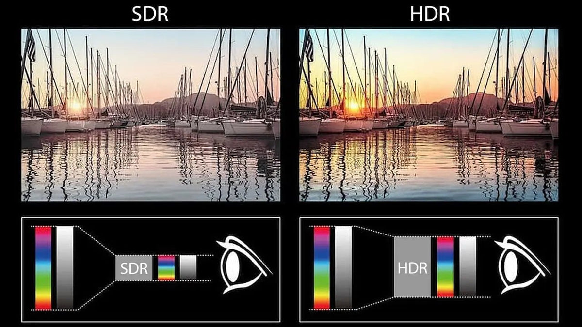 HDR vs SDR: The Ultimate Guide for Content Creators - Arzopa