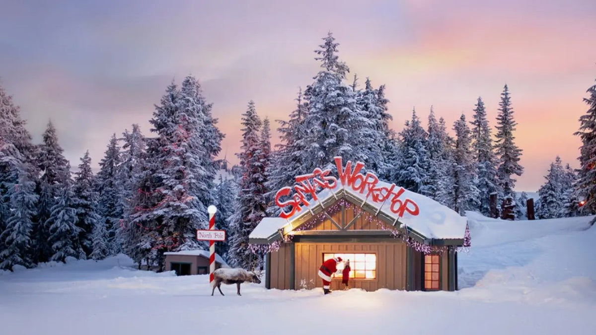 See! Christmas Gift Ideas for Him - Arzopa