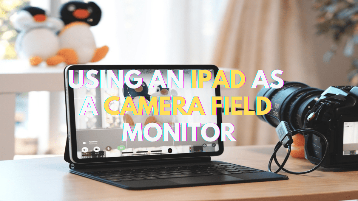 The Comprehensive Guide to Use an iPad as a Camera Field Monitor - Arzopa