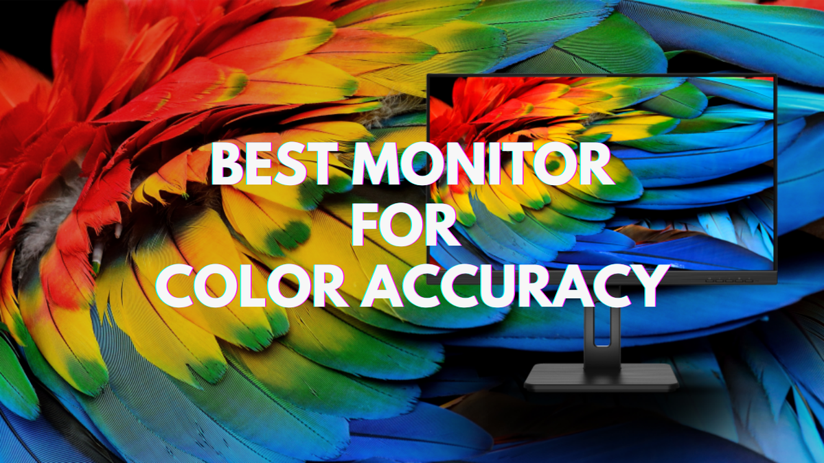 The Ultimate Guide to Choosing the Best Monitor for Color Accuracy in 2026 - Arzopa
