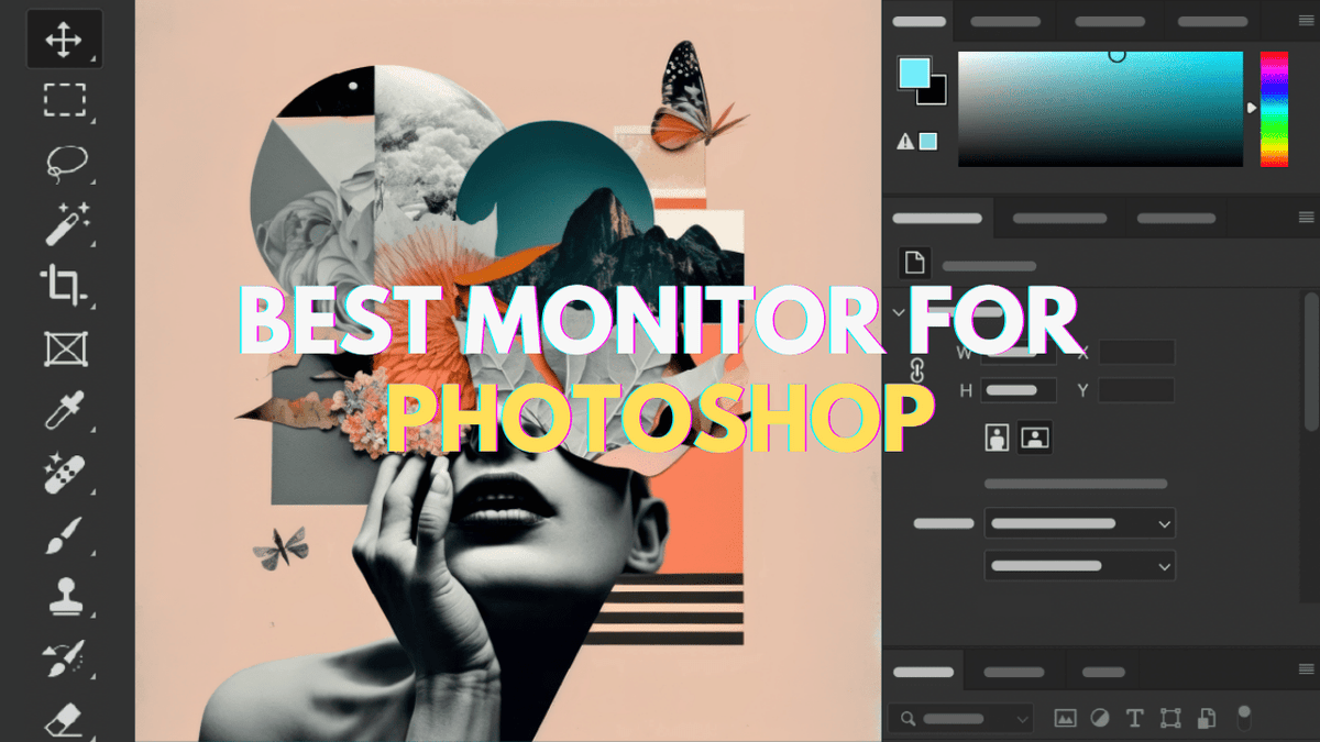 The Ultimate Guide to Choosing the Best Monitor for Photoshop in 2024 - Arzopa