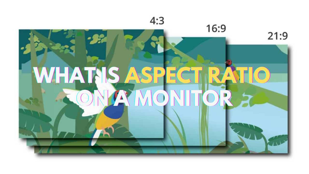 What is aspect ratio on a monitor