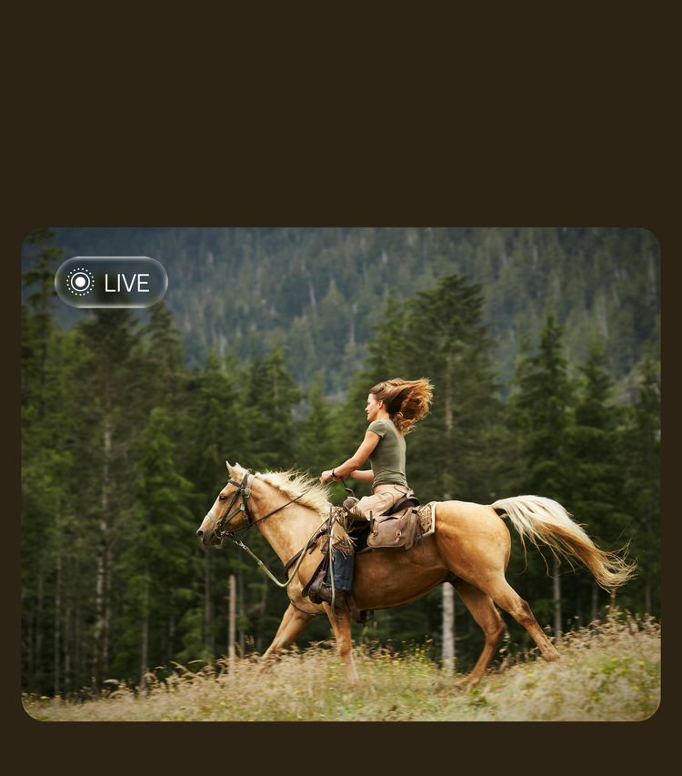 arzopa portable monitor product image