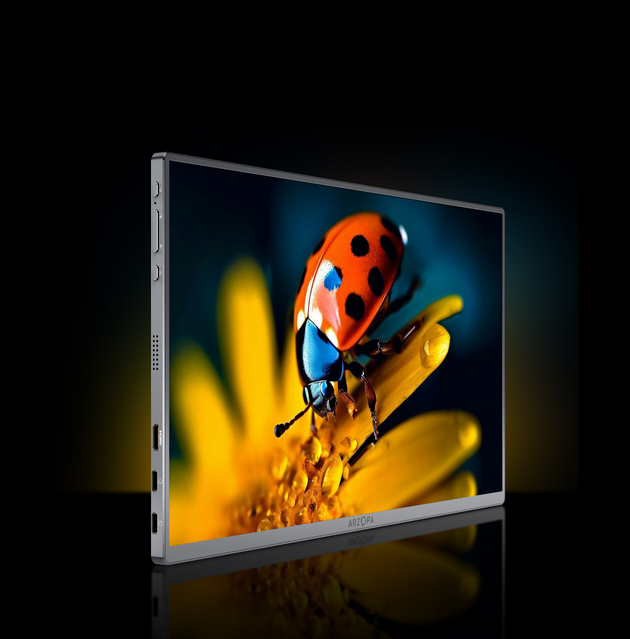 BRILLIANT 13.3 OLED DISPLAY