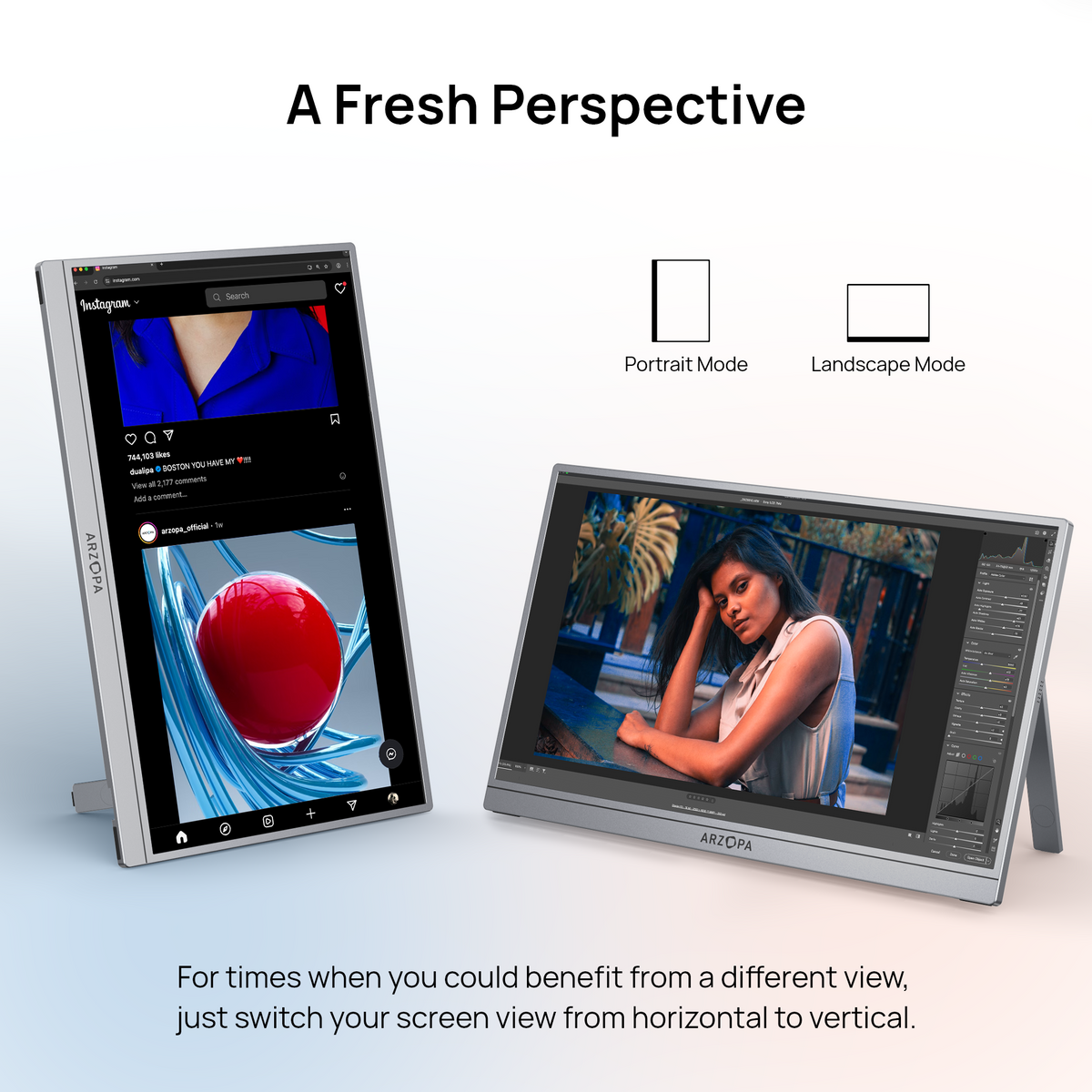 Arzopa Z1C PLUS 17.3" Large 1080p Portable Monitor